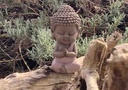 Bouddha mignon